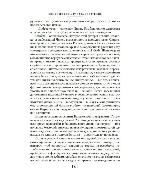 Радуга тяготения: роман