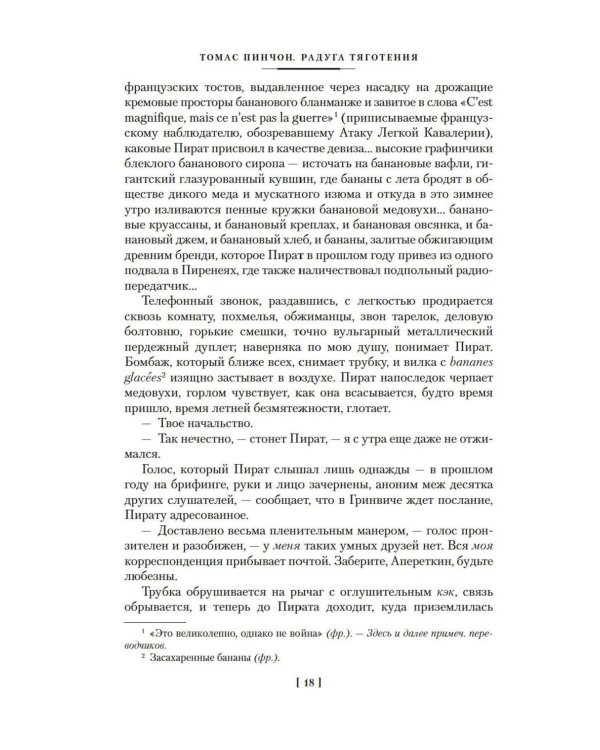 Радуга тяготения: роман