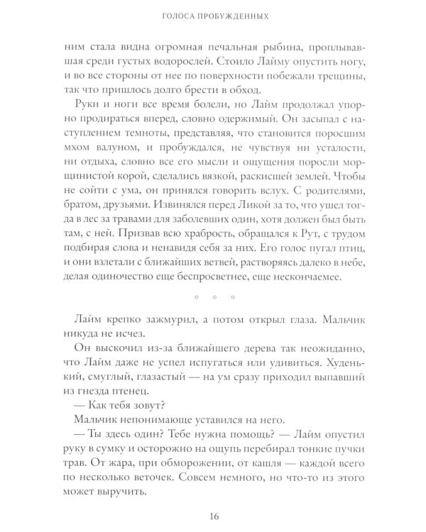 Рубеж стихий. Кн. 3: Голоса пробужденных