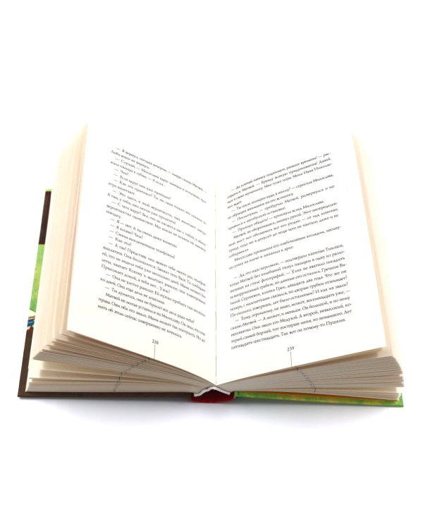 Приключения Светлика Тучкина + Теория невероятностей (комплект из 2-х книг)