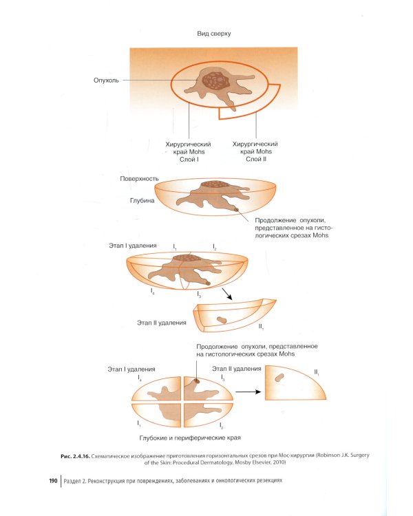 Пластическая хирургия лица: руководство для врачей