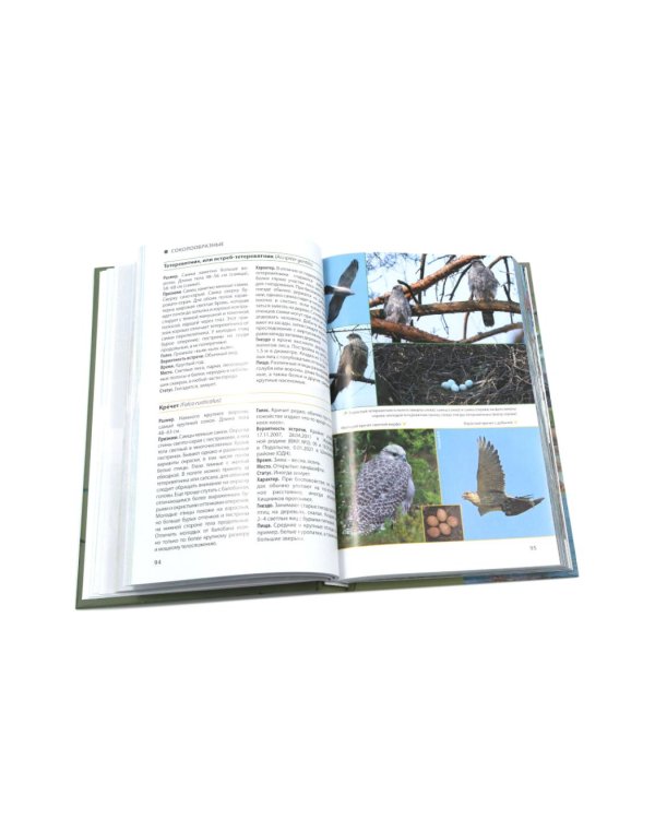 Птицы Москвы и Подмосковья; Птицы России: Фотоопределитель (комплект из 2-х книг)