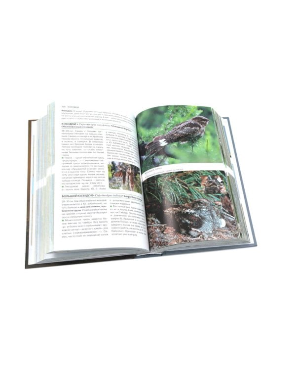 Птицы Москвы и Подмосковья; Птицы России: Фотоопределитель (комплект из 2-х книг)