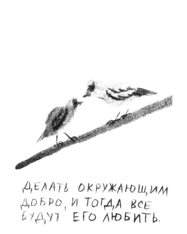 Соловей и воробей: пересказ сказки