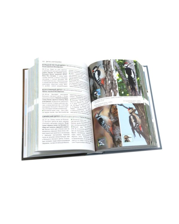 Птицы Москвы и Подмосковья; Птицы России: Фотоопределитель (комплект из 2-х книг)