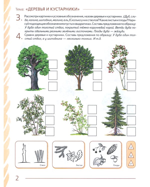 Развиваем связную речь у детей 6-7 лет с ОНР. Альбом 1. Мир растений. 3-е изд., испр