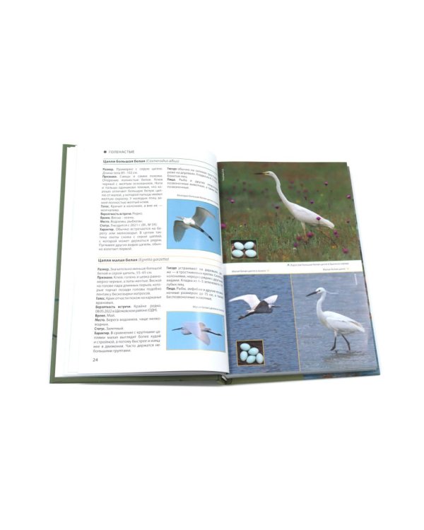 Птицы Москвы и Подмосковья; Птицы России: Фотоопределитель (комплект из 2-х книг)