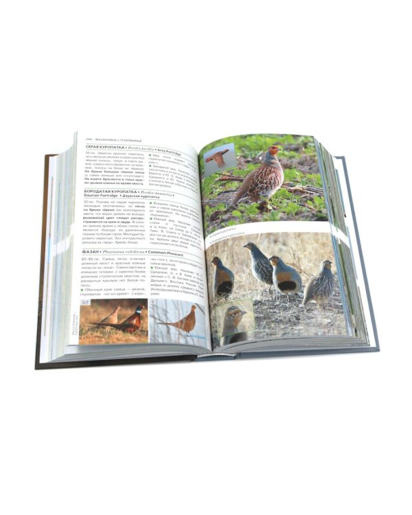Птицы Москвы и Подмосковья; Птицы России: Фотоопределитель (комплект из 2-х книг)
