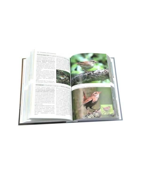 Птицы Москвы и Подмосковья; Птицы России: Фотоопределитель (комплект из 2-х книг)