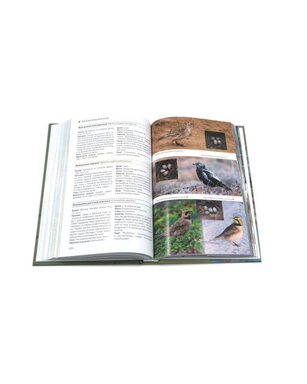 Птицы Москвы и Подмосковья; Птицы России: Фотоопределитель (комплект из 2-х книг)