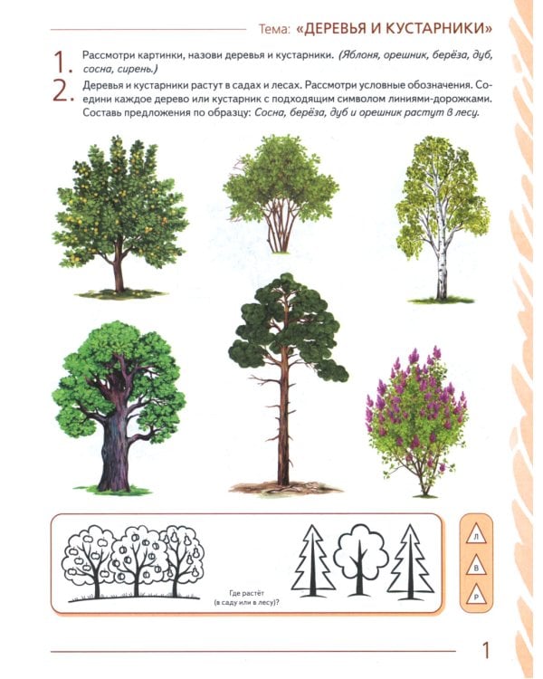 Развиваем связную речь у детей 6-7 лет с ОНР. Альбом 1. Мир растений. 3-е изд., испр