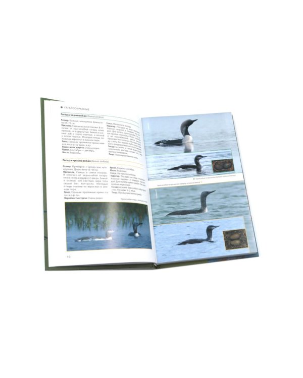 Птицы Москвы и Подмосковья; Птицы России: Фотоопределитель (комплект из 2-х книг)