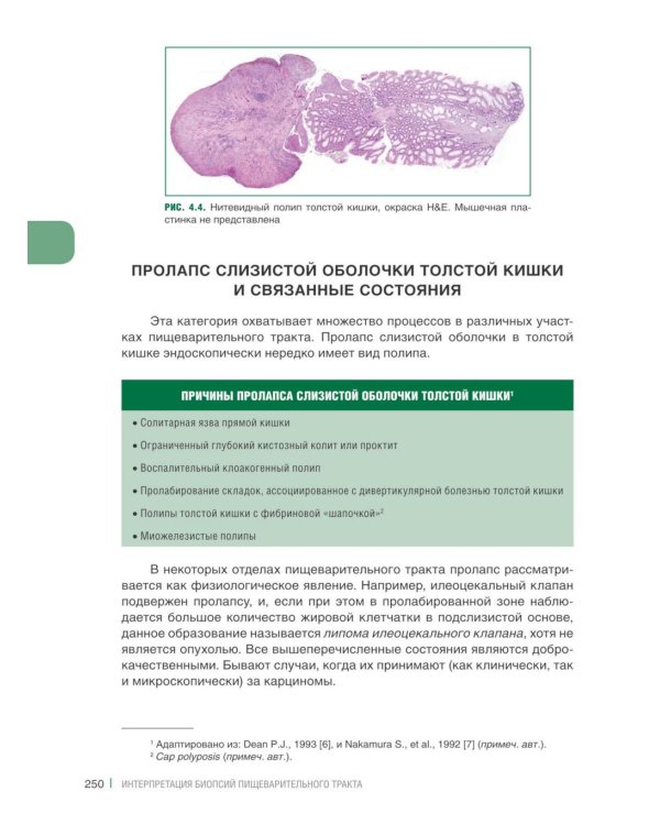 Интерпретация биопсий пищеварительного тракта. В 2 т. (комплект из 2 книг)