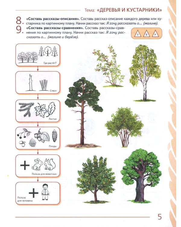 Развиваем связную речь у детей 6-7 лет с ОНР. Альбом 1. Мир растений. 3-е изд., испр