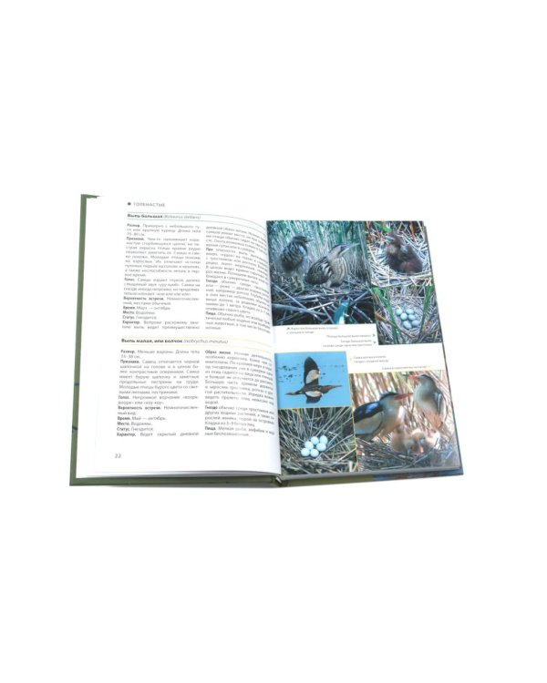 Птицы Москвы и Подмосковья; Птицы России: Фотоопределитель (комплект из 2-х книг)