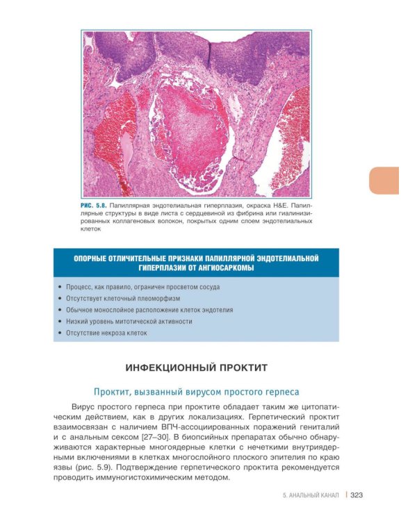Интерпретация биопсий пищеварительного тракта. В 2 т. (комплект из 2 книг)