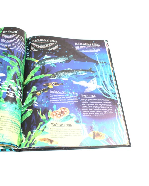 Транссиб. Поезд отправляется!; Смотри: Байкал! Книга-путешествие (комплект из 2-х книг)