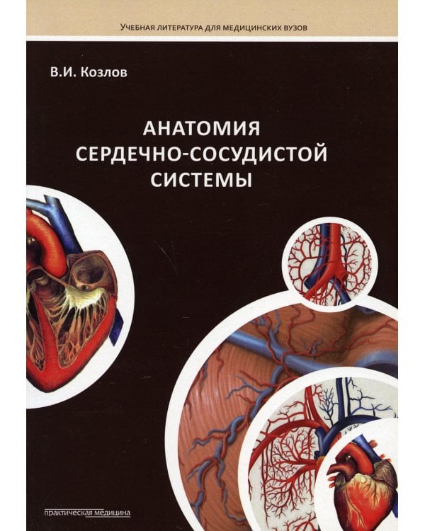 Анатомия сердечно-сосудистой системы: Учебное пособие для студентов медицинских вузов