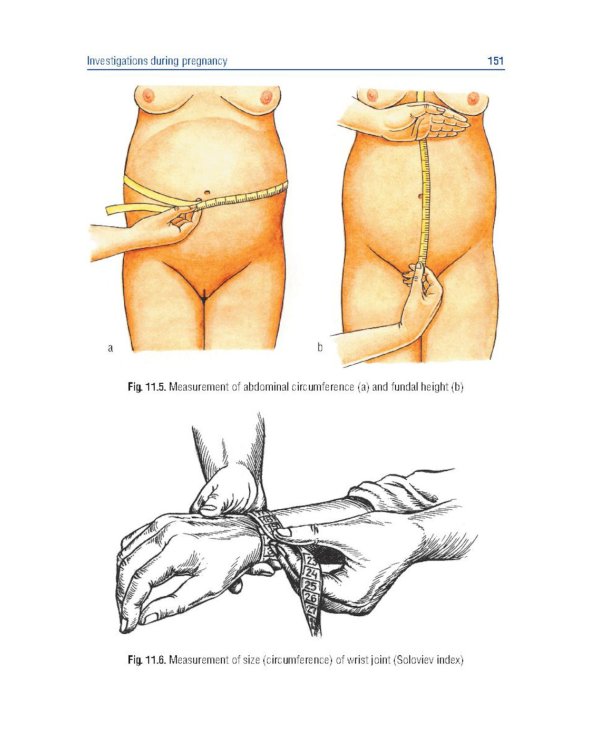 Obstetrics and gynecology. Textbook in 4 vol. Vol. 1. Physiological obstetrics