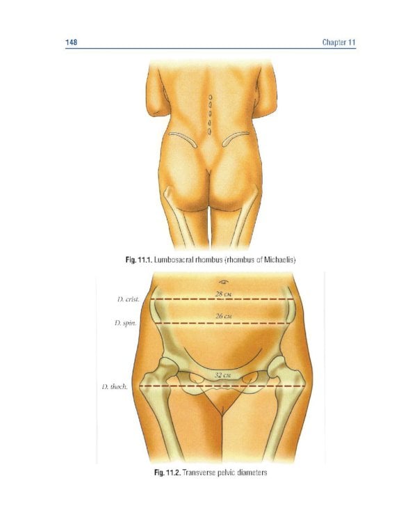 Obstetrics and gynecology. Textbook in 4 vol. Vol. 1. Physiological obstetrics