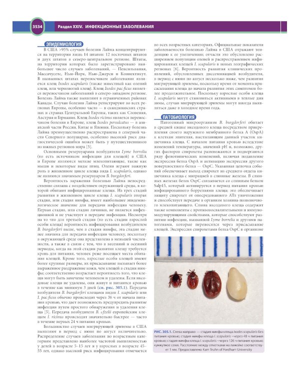 Терапия по Сесилю. В 4 т. Т. 4