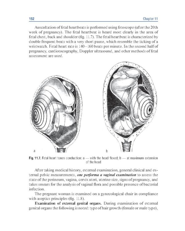 Obstetrics and gynecology. Textbook in 4 vol. Vol. 1. Physiological obstetrics