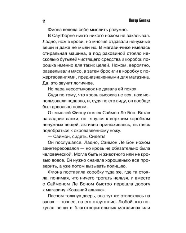 Убийства и кексики. Детективное агентство «Благотворительный магазин»