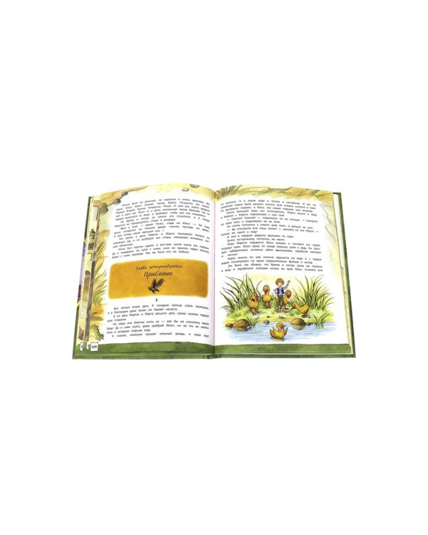 Чудесное путешествие Нильса с дикими: сказочная повесть