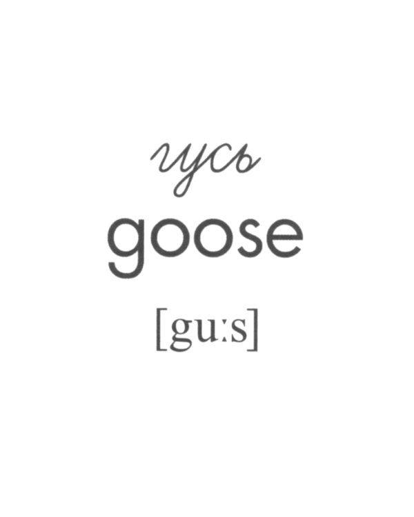 Комплект картинок "Супер. Птицы: перелетные, зимующие, домашние и декоративные" (количество томов: 8)