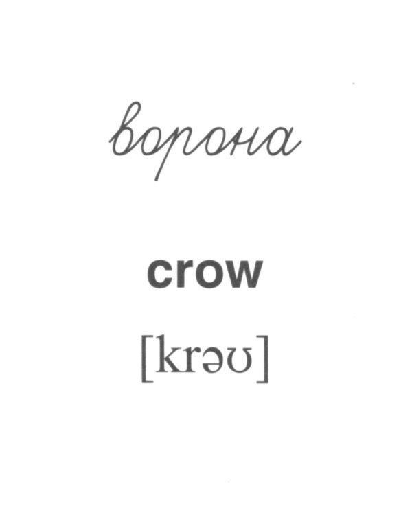 Комплект картинок "Супер. Птицы: перелетные, зимующие, домашние и декоративные" (количество томов: 8)