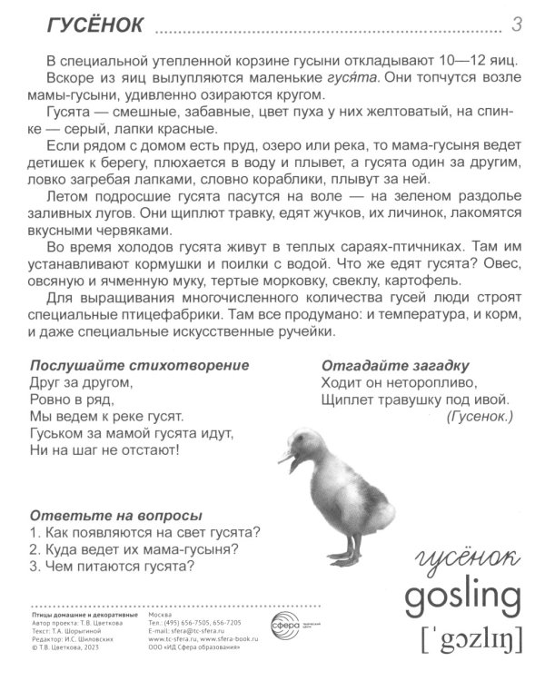 Комплект картинок "Супер. Птицы: перелетные, зимующие, домашние и декоративные" (количество томов: 8)