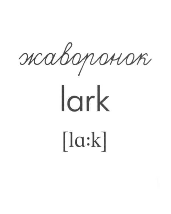 Комплект картинок "Супер. Птицы: перелетные, зимующие, домашние и декоративные" (количество томов: 8)