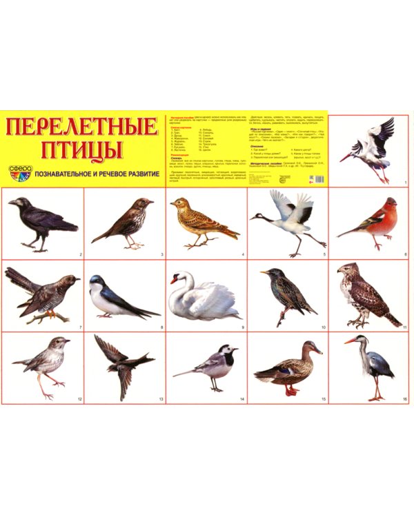 Комплект картинок "Супер. Птицы: перелетные, зимующие, домашние и декоративные" (количество томов: 8)