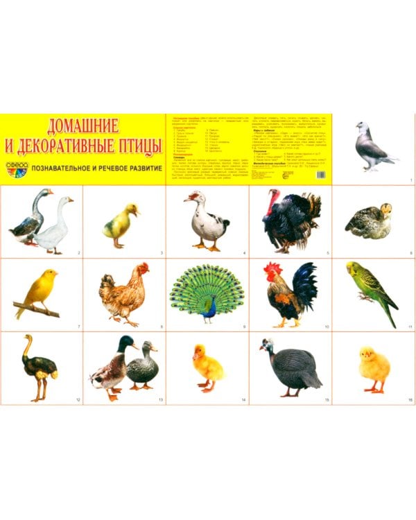 Комплект картинок "Супер. Птицы: перелетные, зимующие, домашние и декоративные" (количество томов: 8)