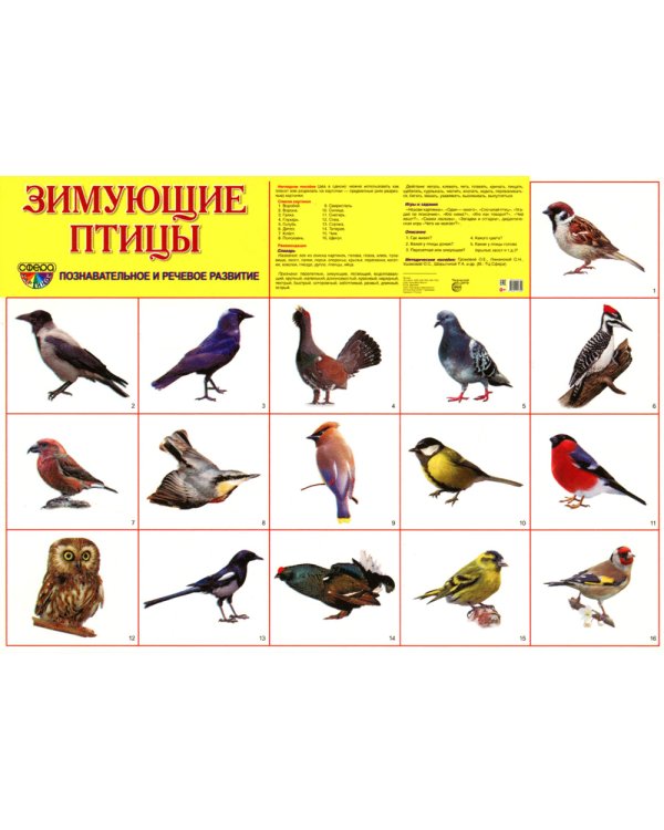 Комплект картинок "Супер. Птицы: перелетные, зимующие, домашние и декоративные" (количество томов: 8)
