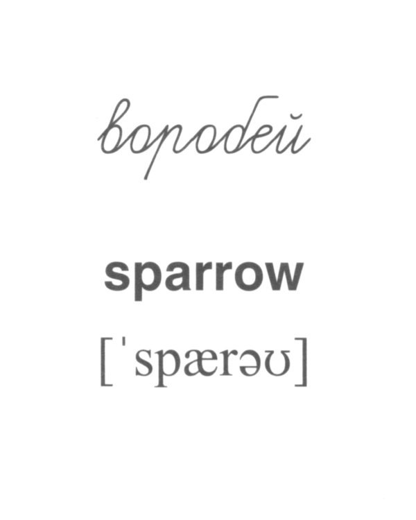 Комплект картинок "Супер. Птицы: перелетные, зимующие, домашние и декоративные" (количество томов: 8)