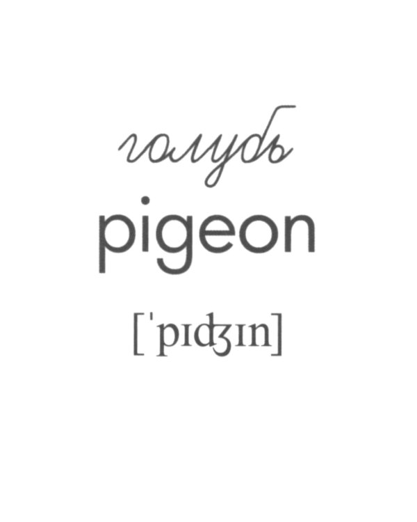 Комплект картинок "Супер. Птицы: перелетные, зимующие, домашние и декоративные" (количество томов: 8)