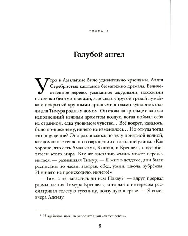 Странник Тим. Миражи Амальгамы. Кн. 2