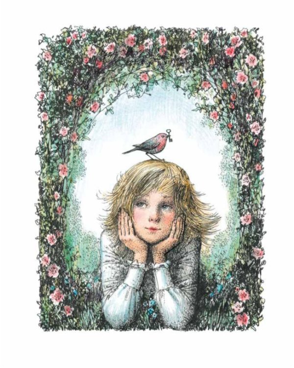 Таинственный сад: повесть