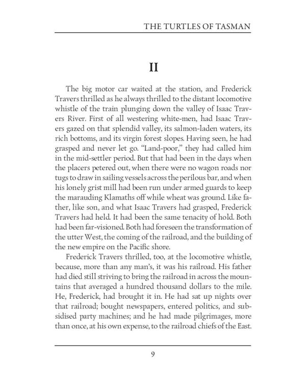 The Turtles of Tasman