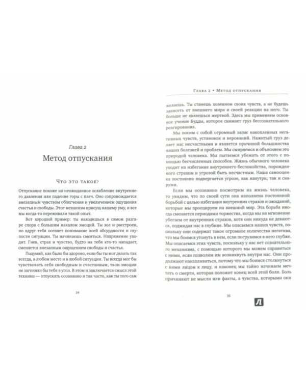 Отпускание. Путь сдачи. Успех - в тебе. Использование силы, присущей Сердцу, для процветания и уверенности (комплект из 2-х книг)