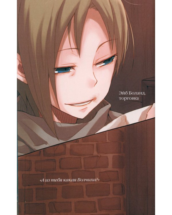 Волчица и пряности. Том 9. Ранобэ