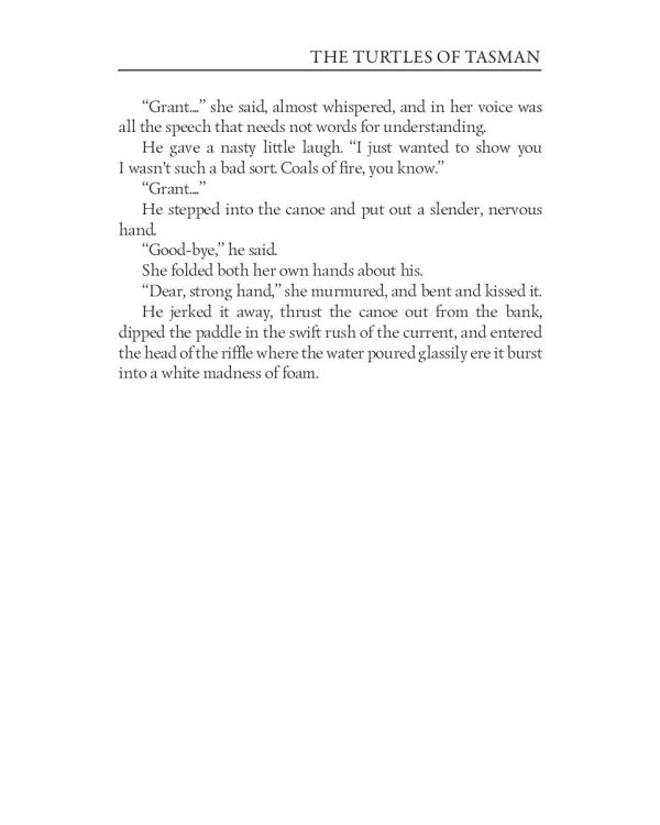 The Turtles of Tasman