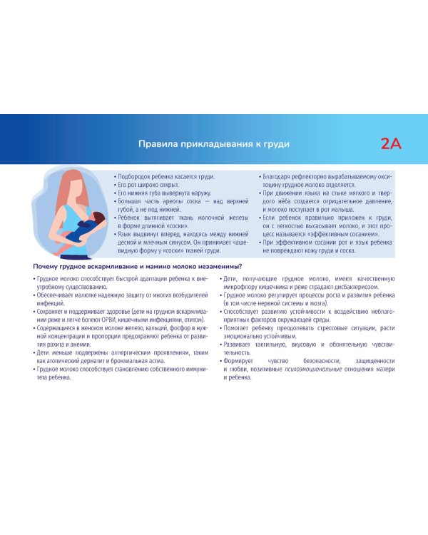 Здоровый ребенок "Тематические карточки" : руководство (32 карточки)