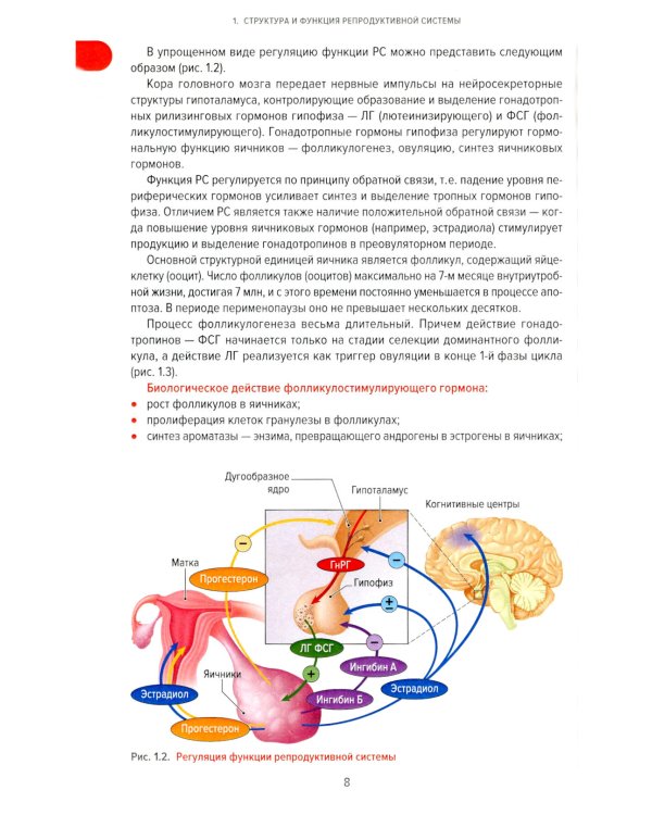 Справочник гинеколога-эндокринолога + Патологическая анатомия акушерских заболеваний (комплект из 2 книг)