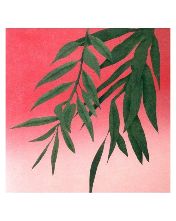 Где твое деревце?