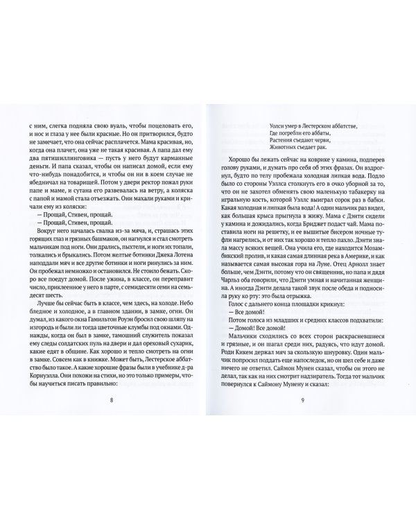 Портрет художника в юности: роман