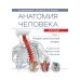 Анатомия человека.  Атлас. В 3 т. Т. 1: Опорно-двигательный аппарат. Остеология. Синдесмология. Миология: Учебное пособие