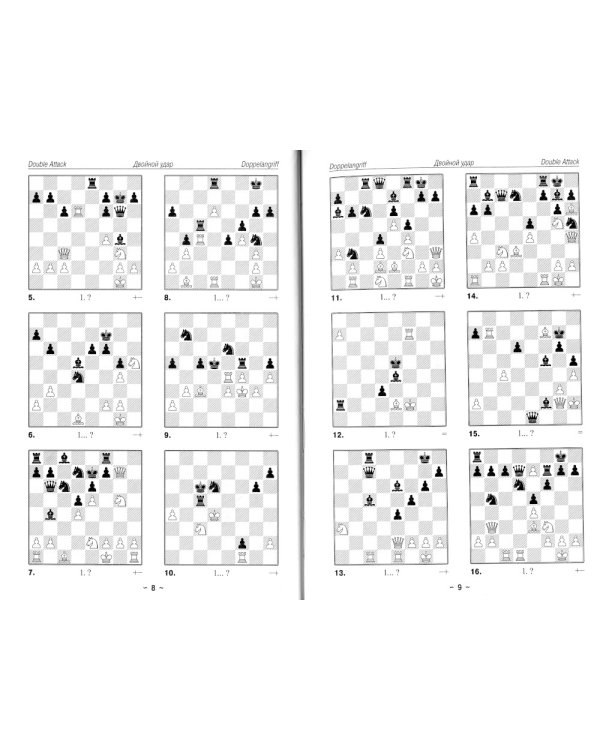 Шахматы. Практикум по тактике