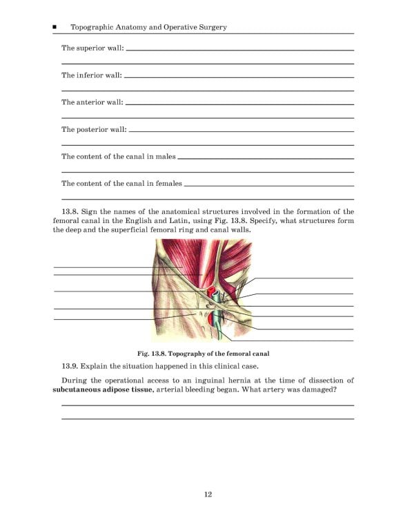 Topographic Anatomy and Operative Surgery. Workbook. In 2 parts. Part 2: на англ.яз